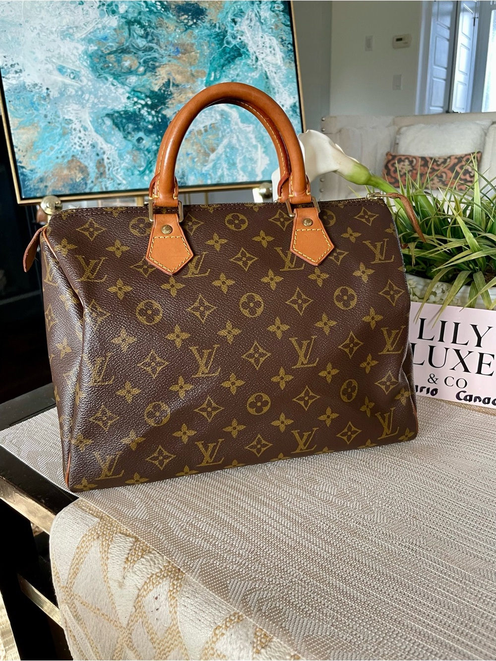 Louis Vuitton Monogram Speedy 30 Handbag - 1994